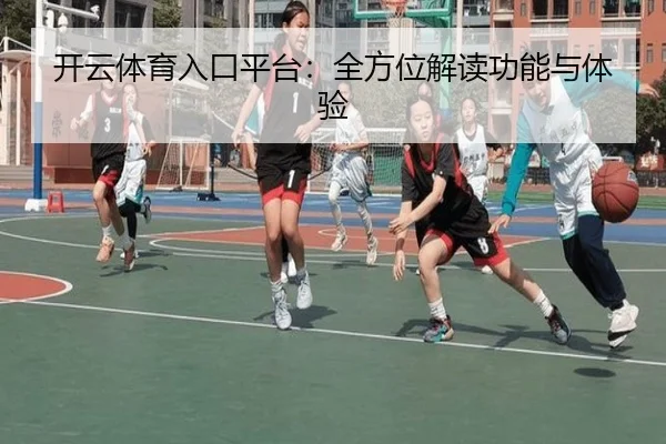 开云体育入口平台：全方位解读功能与体验